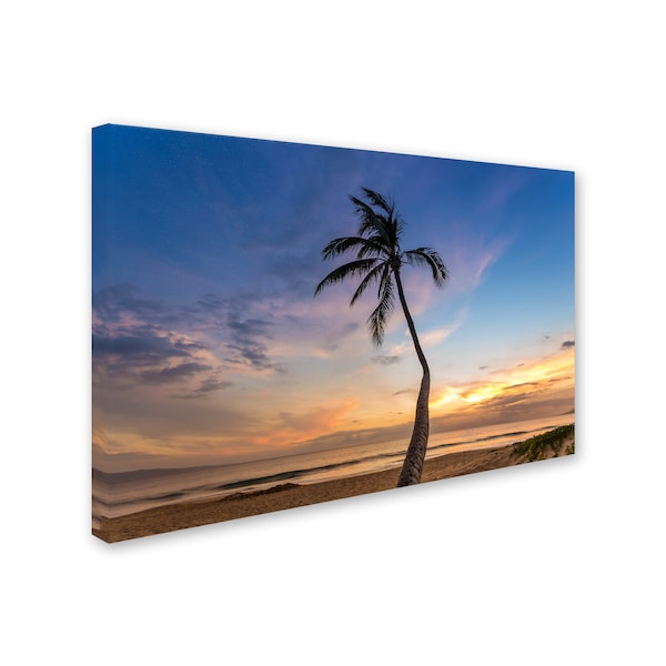 Pierre Leclerc 'Sunset Palm Tree' Canvas Art,22x32